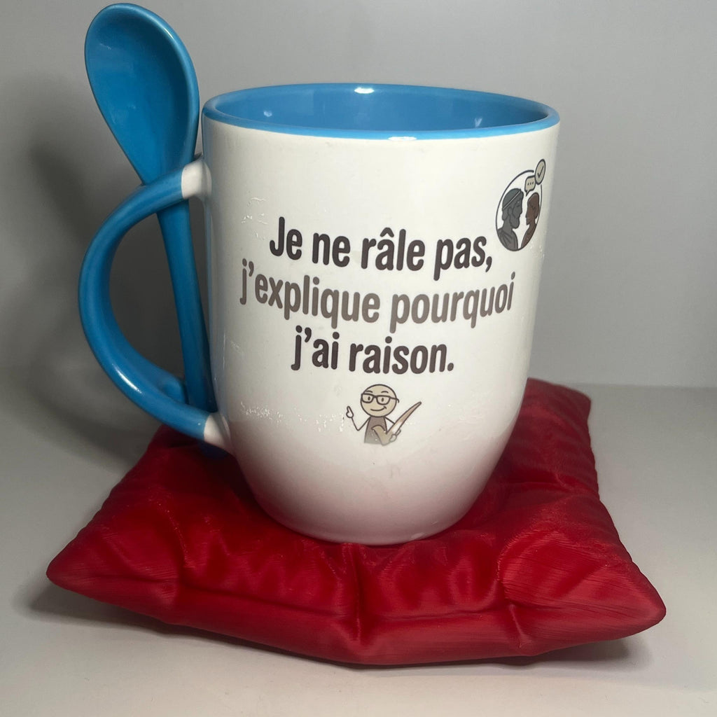 Mug Argent 'Je ne rale pas j'explique pourquoi j'ai raison' Design Élégant et Finition de Haute Qualité Idéale pour les Collectionneurs ou Cadeau Unique